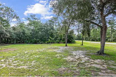 Tbd Fisher Way, Ocklawaha, FL 32179 - Photo 1
