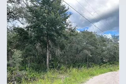 Sw 152nd Place, Dunnellon, FL 34433 - Photo 1