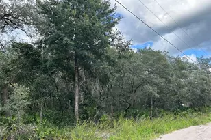 SW 152nd Pl, Dunnellon, FL 34433 - Photo 1