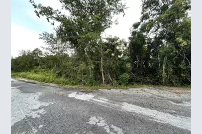 Tbd Hickory Track Drive, Ocala, FL 34472 - Photo 1