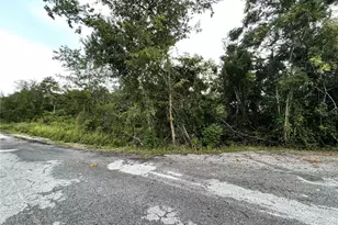 Tbd Hickory Track Dr, Ocala, FL 34472 - Photo 1