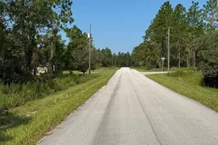 00 SW Neptune Blvd, Dunnellon, FL 34431 - Photo 1