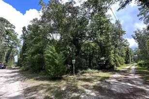 Tbd NE 166 St, Fort Mc Coy, FL 32134 - Photo 1