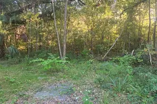 Tbd SE 75th St, Ocala, FL 34480 - Photo 1