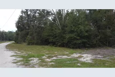 Tbd NE 127th Pl, Bronson, FL 32621 - Photo 1