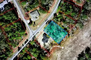 9609 N Langdon Rd, Citrus Springs, FL 34434 - Photo 1