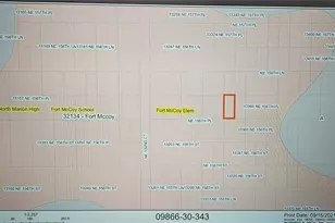Tbd NE 156th Pl, Fort Mc Coy, FL 32134 - Photo 1