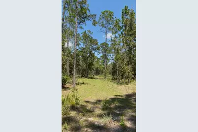Sw Obee Ridge Rd, Dunnellon, FL 34431 - Photo 1