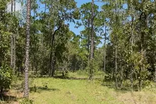 SW Obee Ridge Rd, Dunnellon, FL 34431 - Photo 1