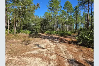 5449 N Smokey Mountain Point, Crystal River, FL 34428 - Photo 1