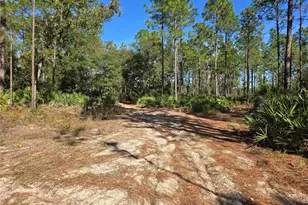 5449 N Smokey Mountain Point, Crystal River, FL 34428 - Photo 1