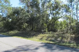 00 SE 169th Ct, Ocklawaha, FL 32179 - Photo 1