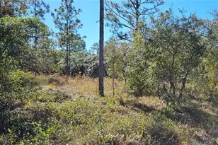 Lots 34 & 35 SW Mango Ln, Dunnellon, FL 34431 - Photo 1