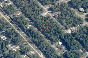 9271 N Cortlandt Dr, Citrus Springs, FL 34434 - Photo 1