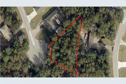 Tba Dogwood Drive Lane, Ocala, FL 34472 - Photo 1