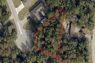 Tba Dogwood Dr Ln, Ocala, FL 34472 - Photo 1