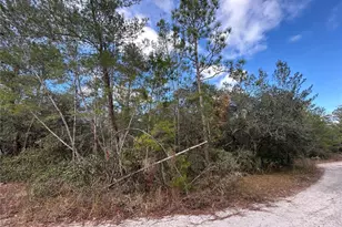 Tbd NE 236 Pl, Fort Mc Coy, FL 32134 - Photo 1