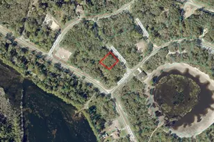 00 Fisher Loop Trace, Ocklawaha, FL 32179 - Photo 1