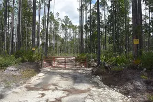 NE 130th Ave, Fort Mc Coy, FL 32134 - Photo 1