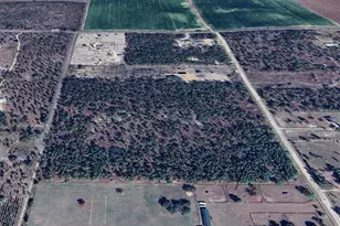 SE 140 Ave, Morriston, FL 32668 - Photo 1