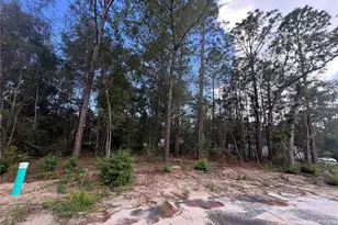 0 Bahia Circle Dr, Ocala, FL 34472 - Photo 1