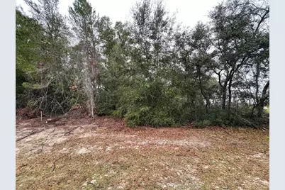 Lot 3 Marion Oaks Lane, Ocala, FL 34473 - Photo 1