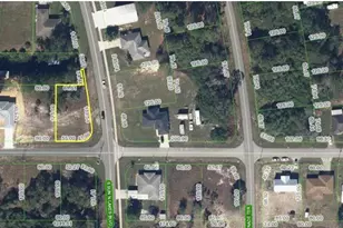 101 Blue Moon Ave, Lake Placid, FL 33852 - Photo 1