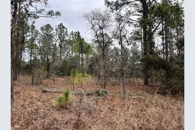 Lot 57 NW Skylark Street, Dunnellon, FL 34431 - Photo 1