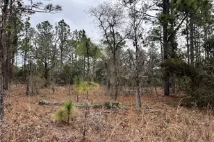 Lot 57 NW Skylark St, Dunnellon, FL 34431 - Photo 1