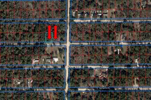 Tba NE 66 Street/65 Ln, Williston, FL 32696 - Photo 1