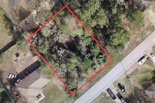 Hemlock Circle Pass, Ocala, FL 34472 - Photo 1