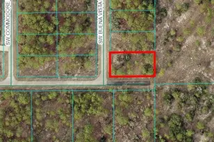 00 SW Buena Vista Rd, Dunnellon, FL 34431 - Photo 1
