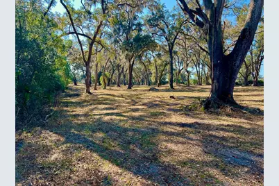 000 NW 7th Street, Williston, FL 32696 - Photo 1