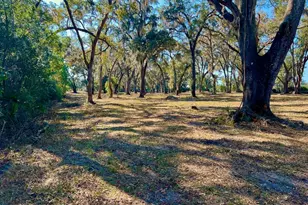 000 NW 7th St, Williston, FL 32696 - Photo 1