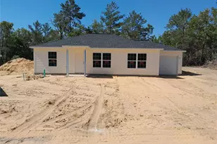 46 Malauka Dr, Ocklawaha, FL 32179 - Photo 1