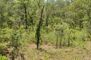 00 NW Mallard Ave, Dunnellon, FL 34431 - Photo 1