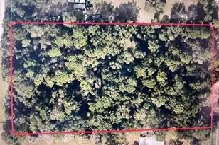 Tbd Cr 475, Summerfield, FL 34491 - Photo 1