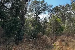 0 Cypress Rd Lot 12, Ocala, FL 34472 - Photo 1