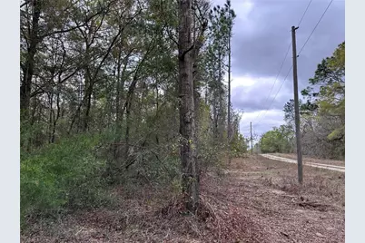 481 NE 154th Terrace, Williston, FL 32696 - Photo 1