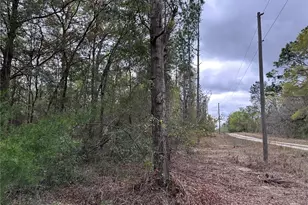 481 NE 154 Terrace, Williston, FL 32696 - Photo 1