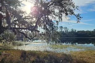 Lot 1 - 10 05Ac E Hwy 318, Citra, FL 32113 - Photo 1