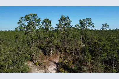 12500 NE 87th Place, Bronson, FL 32621 - Photo 1