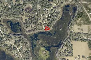 0 NE 114th Ave Rd, Fort Mc Coy, FL 32134 - Photo 1
