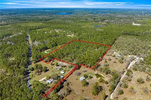 Tbd NE 212 Street Rd, Fort Mc Coy, FL 32134 - Photo 1