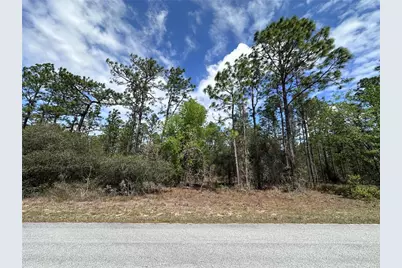 Tbd SW Anchor Boulevard, Dunnellon, FL 34431 - Photo 1