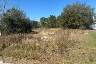 0000 Oak Run Pl, Ocala, FL 34472 - Photo 1