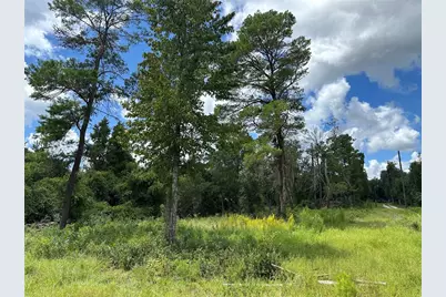 16308 & 16322 NE 154th Lane, Fort Mc Coy, FL 32134 - Photo 1