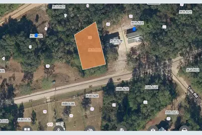 00 Cornett Road, Interlachen, FL 32148 - Photo 1
