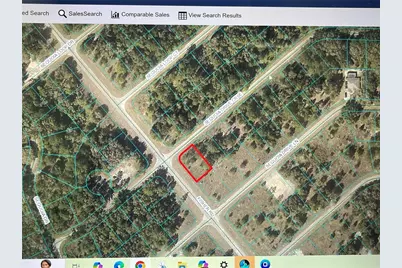 Tbd Sequioa Drive Course, Ocklawaha, FL 32179 - Photo 1