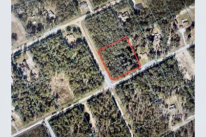 Tbd SW 52nd Lane Road, Dunnellon, FL 34432 - Photo 1